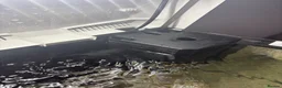 Axolotl reptiles for sale: X2 axolotyls, tank set up and accessories  in Stoke-on-Trent - Advert 5