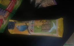 Budgerigars birds for sale: Three budgies to rehome! - Image 10