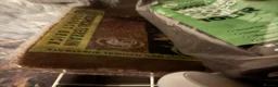 Millipedes invertebrates for sale: 1 bumblebee millipede - Advert 5