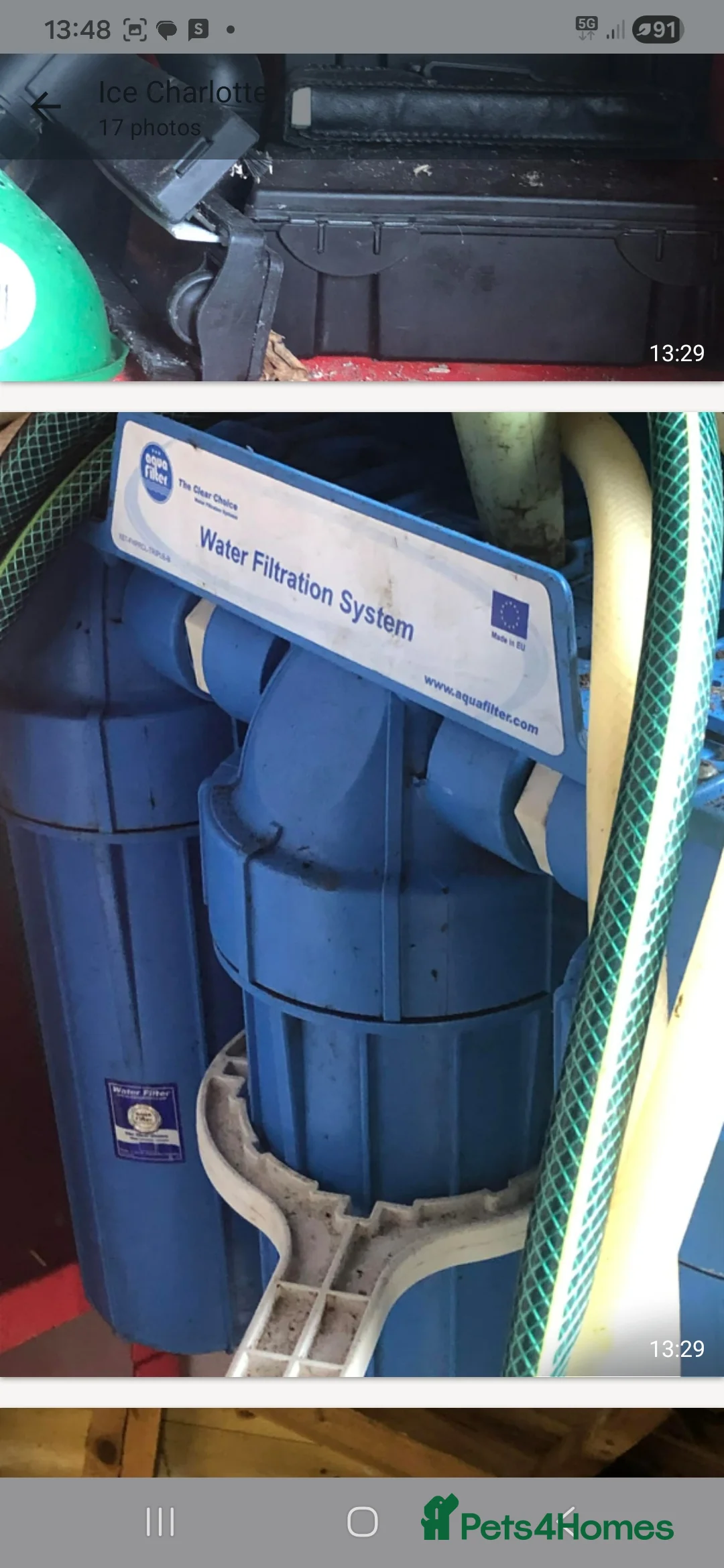 Koi Carp fish for sale: 20 Koi Carp with filter systems included. - Advert 4