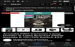 Corn Snake reptiles for sale: Male Corn Snake 2 Years - Image 16