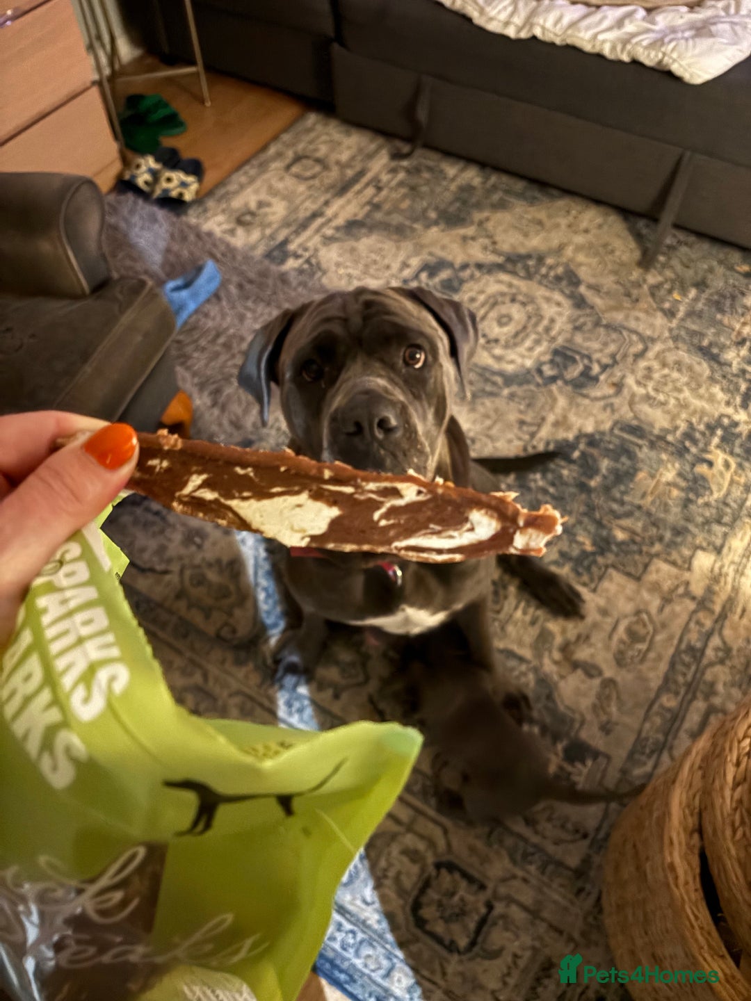 Gallery Image {{count}}