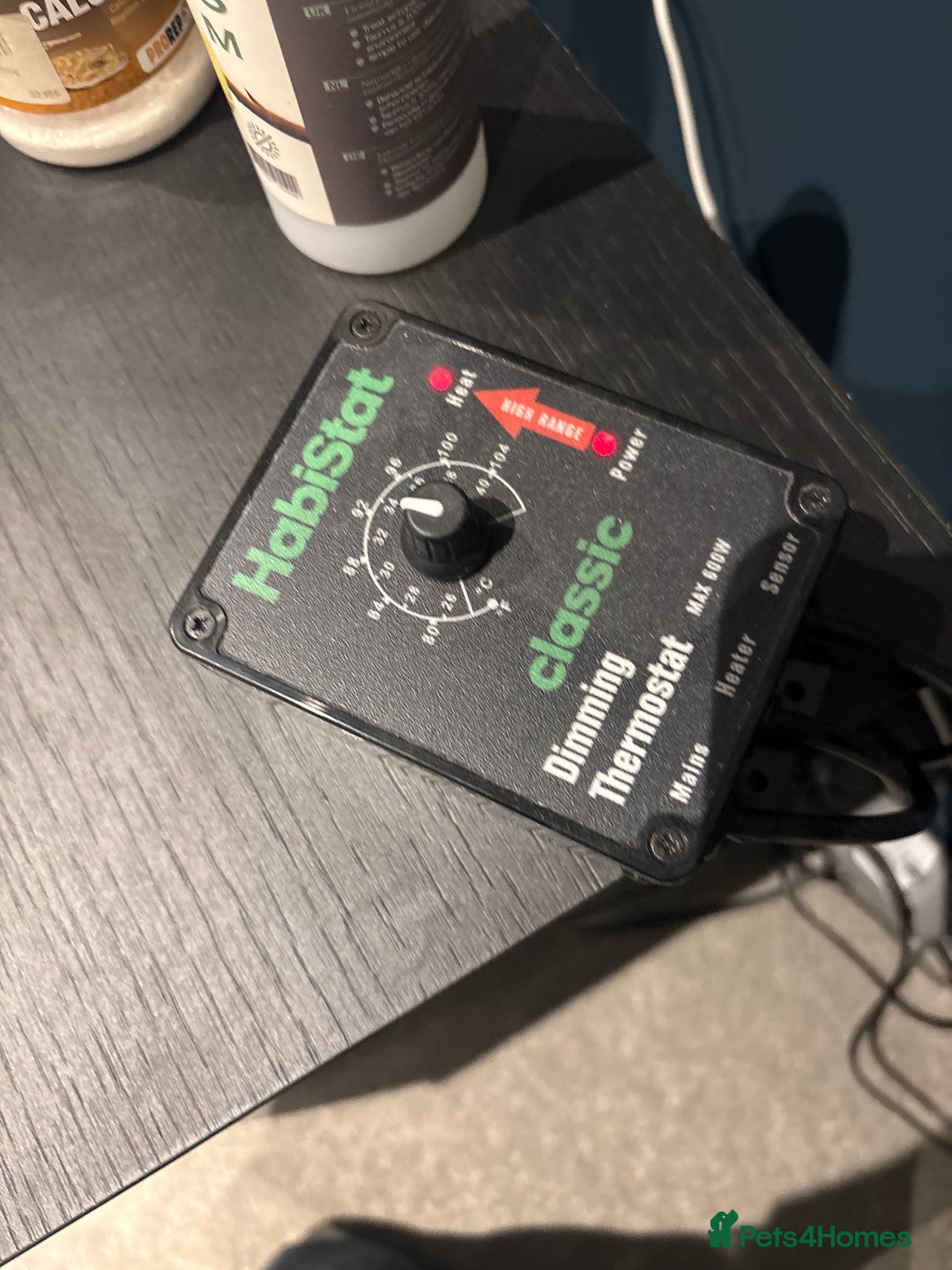 Bearded Dragon reptiles for sale: Drako - Bearded Dragon - Full Set / Kit - Image 2