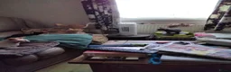 Siamese cats for sale: Kittens in Bridgend - Advert 3