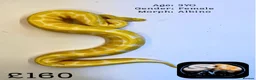Python Snake reptiles for sale: Ball pythons for sale  - Advert 6