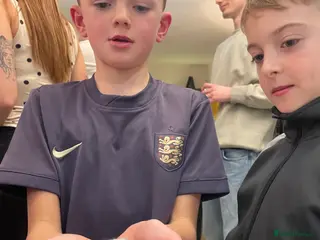 Hamster rodents Dwarf Hamsters (two) - sold - Advert 5