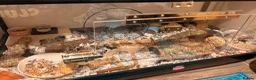 Hamster rodents for sale: Hamster + full cage setup & extras  in Tipton - Advert 6