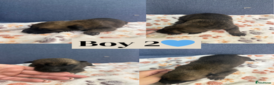 Boy 2