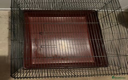 Hamster rodents for sale: Alaska hamster cage  - Image 2