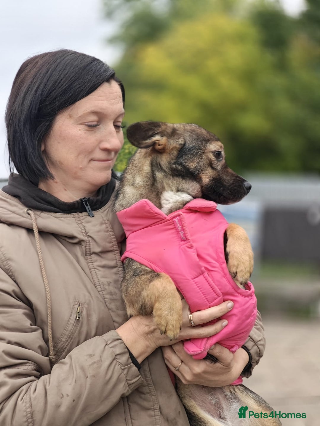 Mixed Breed dogs for adoption: 💖🐶 KELLY 🐶💖 - Image 14