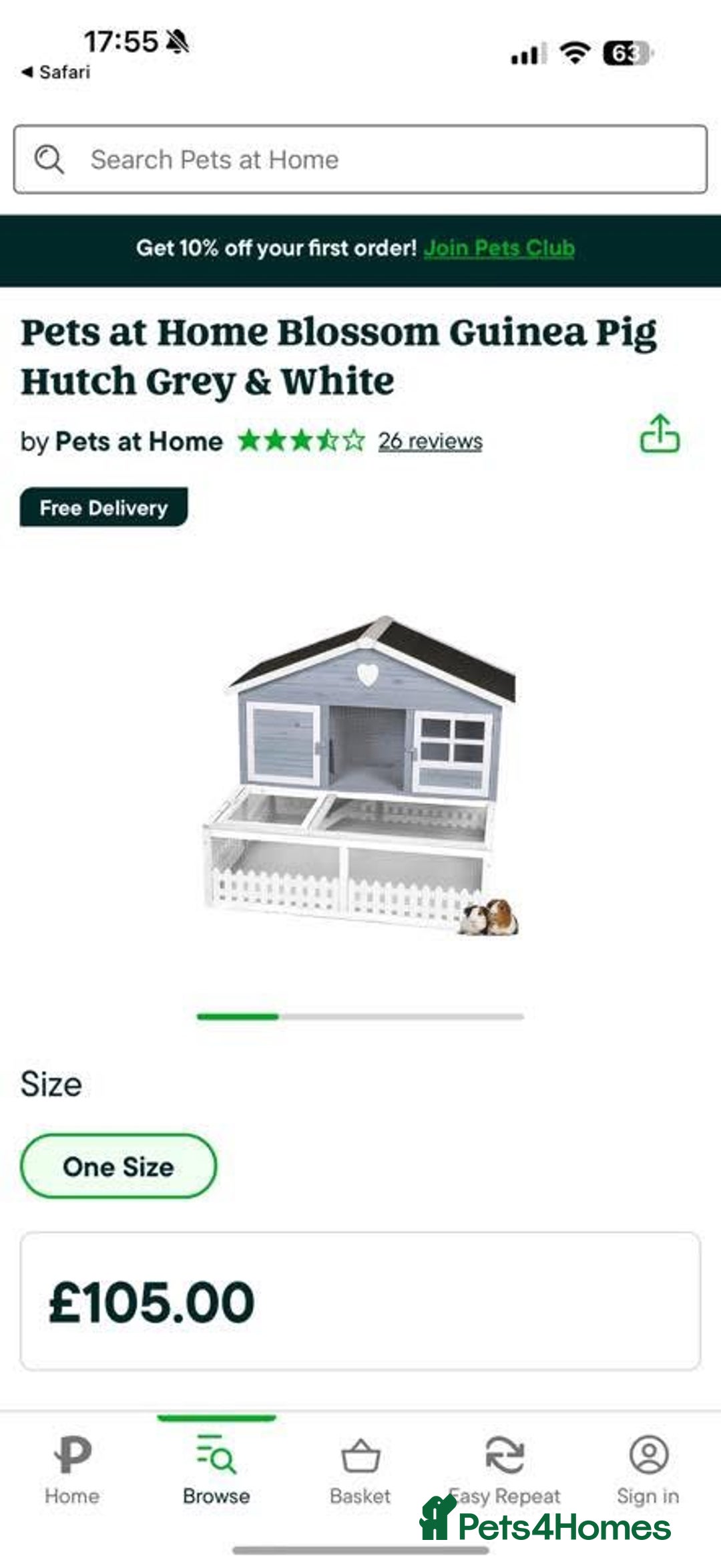 Guinea Pig rodents for sale: Guinea Pigs to rehome  - Advert 3