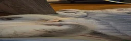 Ragdoll cats for sale: Beautiful Playful Ragdoll Kittens  - Advert 14