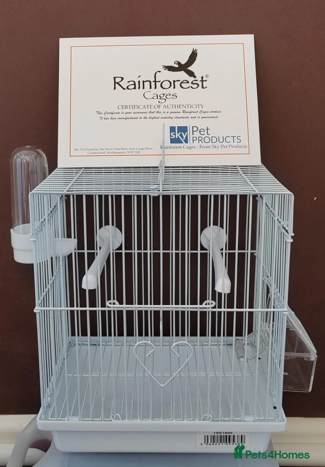 Budgerigars birds for sale: Beautiful Baby Budgies  - Advert 12