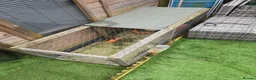 Mixed Breed livestock for sale: For sale in Stockport - Advert 2
