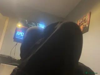 Mixed Breed cats Fuafjdjs - Advert 3