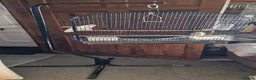 Budgerigars birds for sale: Pair of baby budgies with cage and hanging stand in Swindon - Advert 3