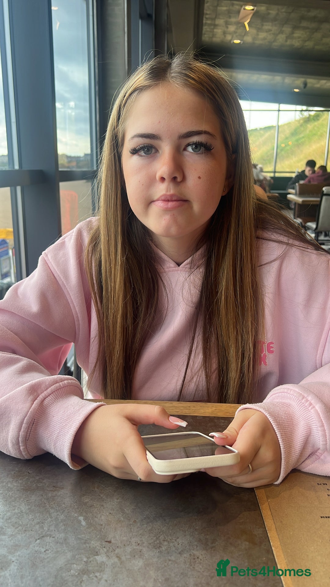 Cavapoochon dogs for sale: Beautiful cavapoochon needing an urgent home! - Advert 3