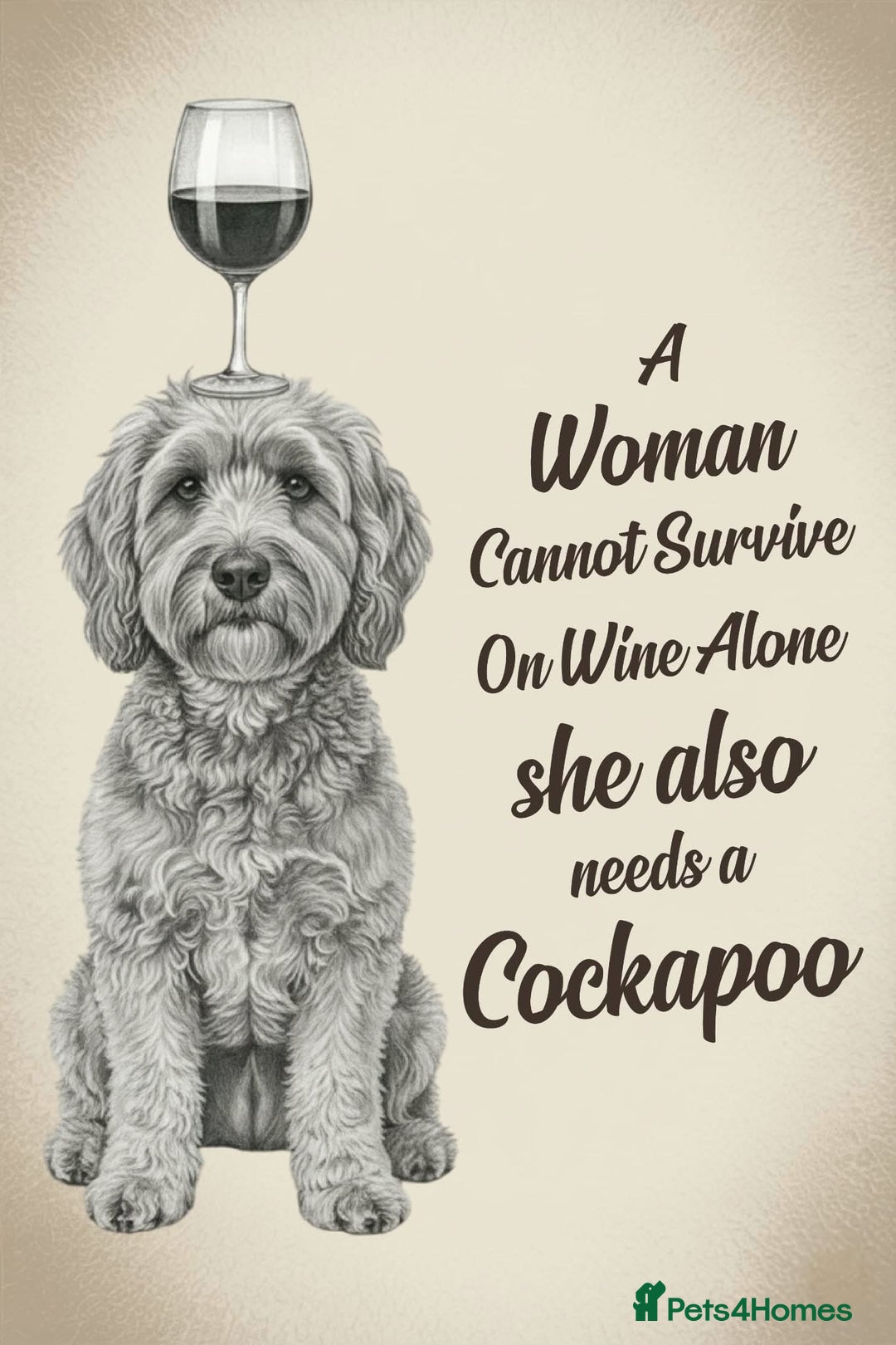 Cockapoo dogs for sale: Melt your heart ❤️ F1 Cockapoos - Image 7