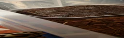 Boa Snake reptiles for sale: Beautiful leopard dwarf boa - Advert 6