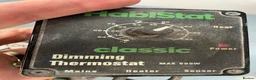 Snake reptiles for sale: Albino Hognose Snake - Advert 18