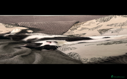 Domestic Shorthair cats for sale: TWO CATS NEED REHOMING TOGETHER  - Image 9