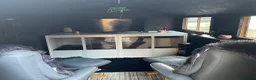 Monitor reptiles for sale: Reptile rescue  - Advert 6