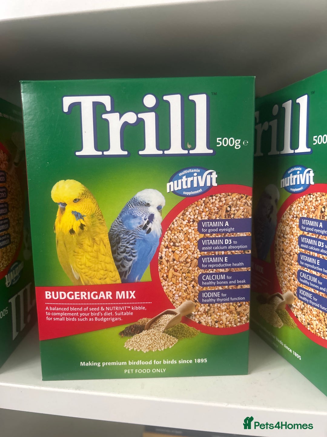 Budgerigars birds for sale: 1 female and 1 male budgies with full setup  - Image 3