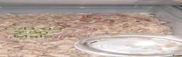 Corn Snake reptiles for sale: Baby corn snakes  - Advert 3
