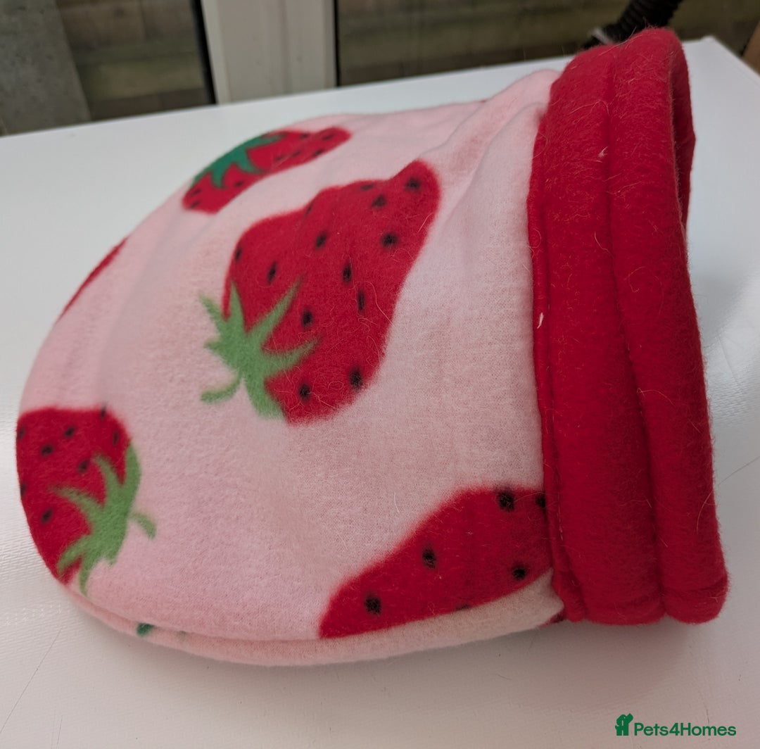 Guinea Pig rodents for sale: Guinea pig/rabbit snuggle sock/bedding  - Image 3