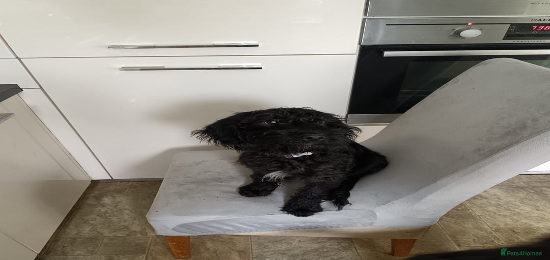 Gallery Image {{count}}