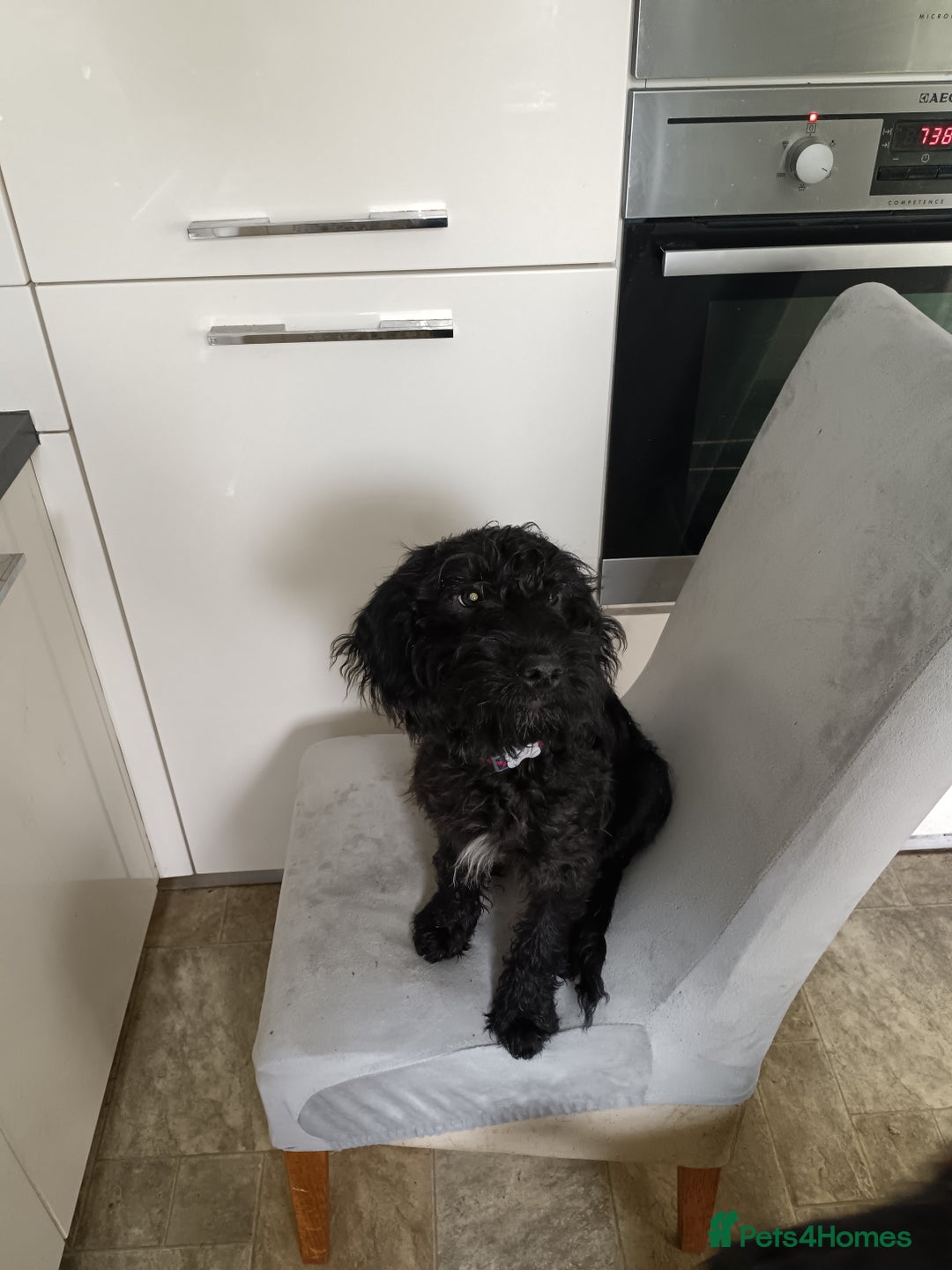 Gallery Image {{count}}