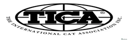 Savannah cats for sale: 🏵️ WORLDS BEST LINES 🏵️ Savannah F2 & F3 Kittens - Advert 3