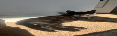 Fully black (Bob)