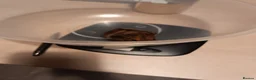 Guinea Pig rodents for sale: x2 Female Guineas Pigs for Sale - Advert 5