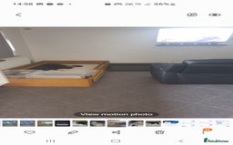 Rottweiler dogs for sale: Kc reg full German champion rottweiler puppies   - Image 12