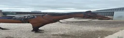 Irish Thoroughbred horses for sale: Ellie - Irish/Thoroughbred Mare in Buxton - Advert 5