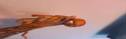 Corn Snake reptiles for sale: Male Corn Snake - Advert 2