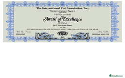 Maine Coon cats for sale: 🔥🔥🔥Maine Coon PEDIGREE 🔥🔥🔥ORIGINAL  - Image 2