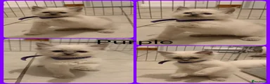 Purple