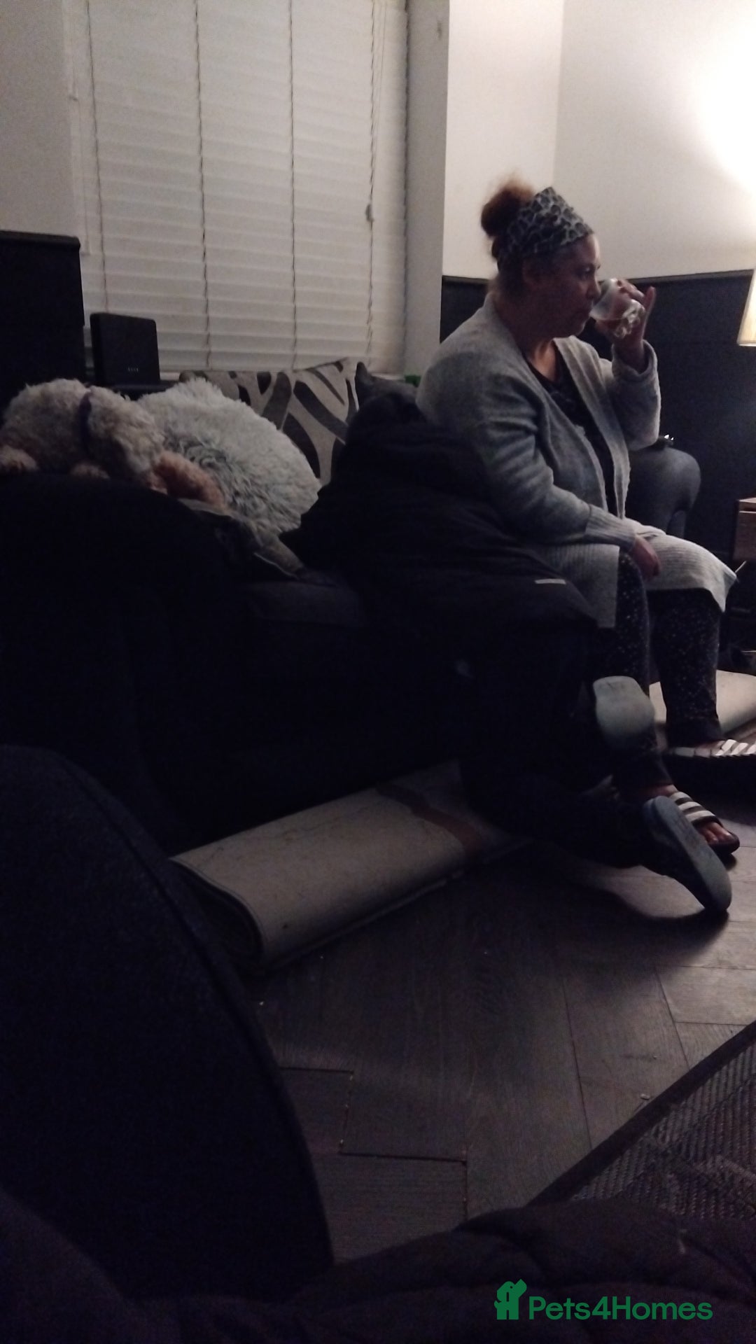 Gallery Image {{count}}