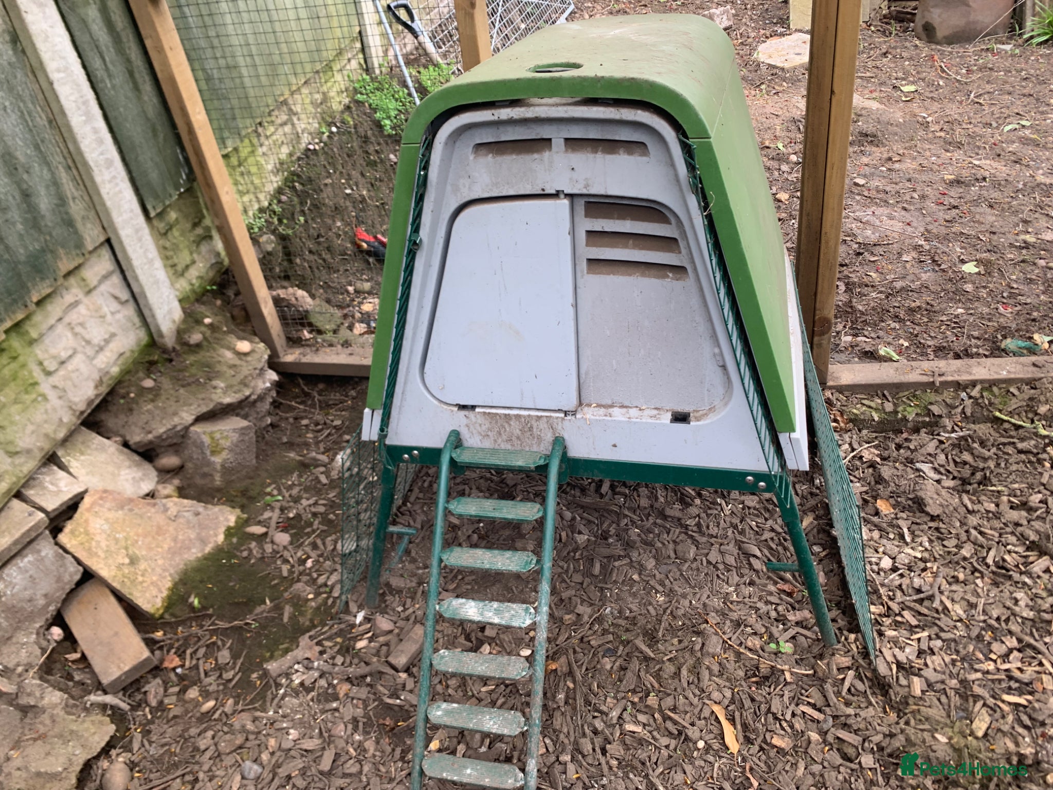 Chickens poultry Chickens Omlet go up coop - Advert 1