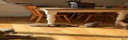 Bengal cats for sale: Beautiful Bengal x kittens  - Advert 11