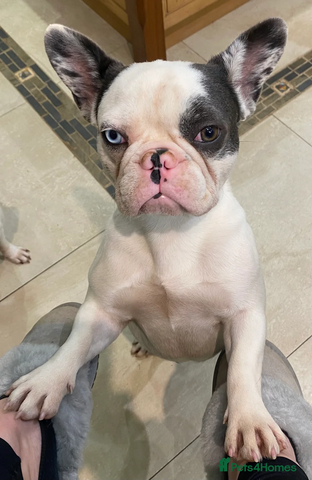 Gallery Image {{count}}