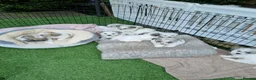 Bichon Frise dogs for sale: Bichon puppies for sale - Advert 3