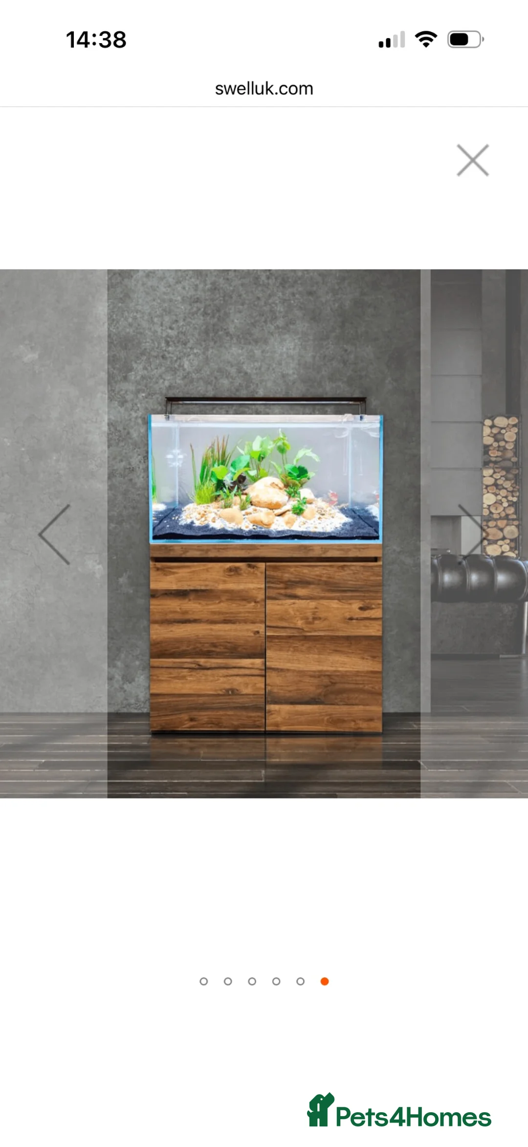 Angelfish fish for sale: Full set up fish tank fluval visi 202 l  in Worksop - Advert 25