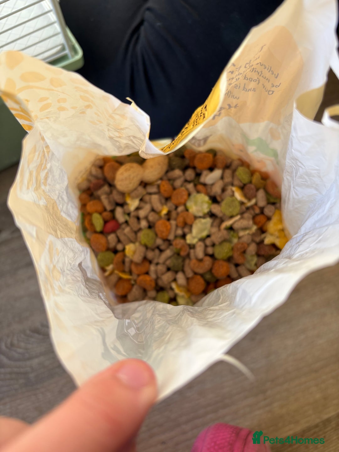 Hamster rodents for sale: Hamster Bean - Advert 8