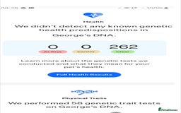 Miniature Poodle dogs for stud: KC Registered Miniature Poodle in Wrexham - Image 12
