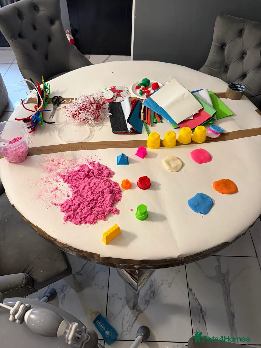 French Bulldog dogs for sale: Female French bulldog 5 months  - Advert 5