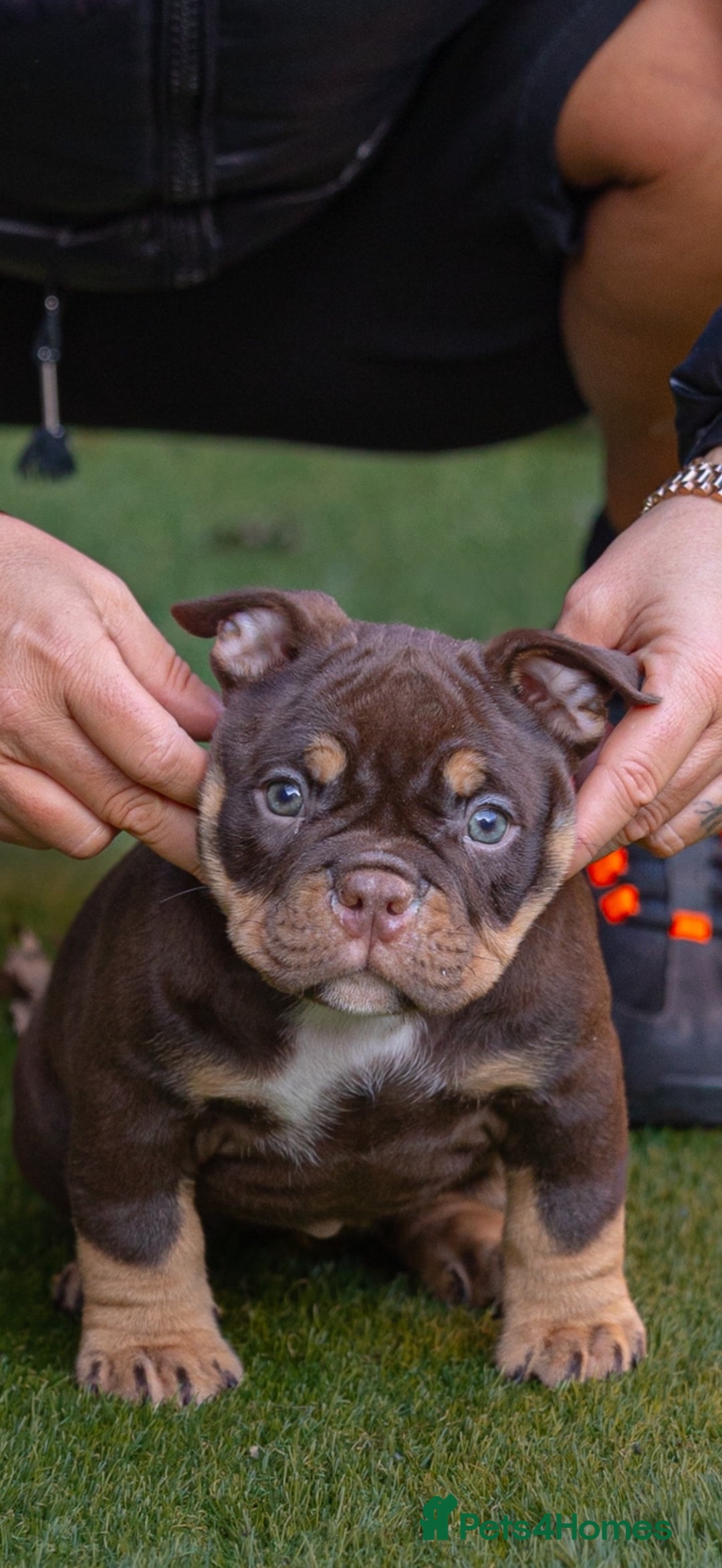 Gallery Image {{count}}