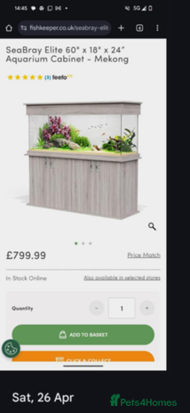 Other/Mixed Breed fish - Advert 18